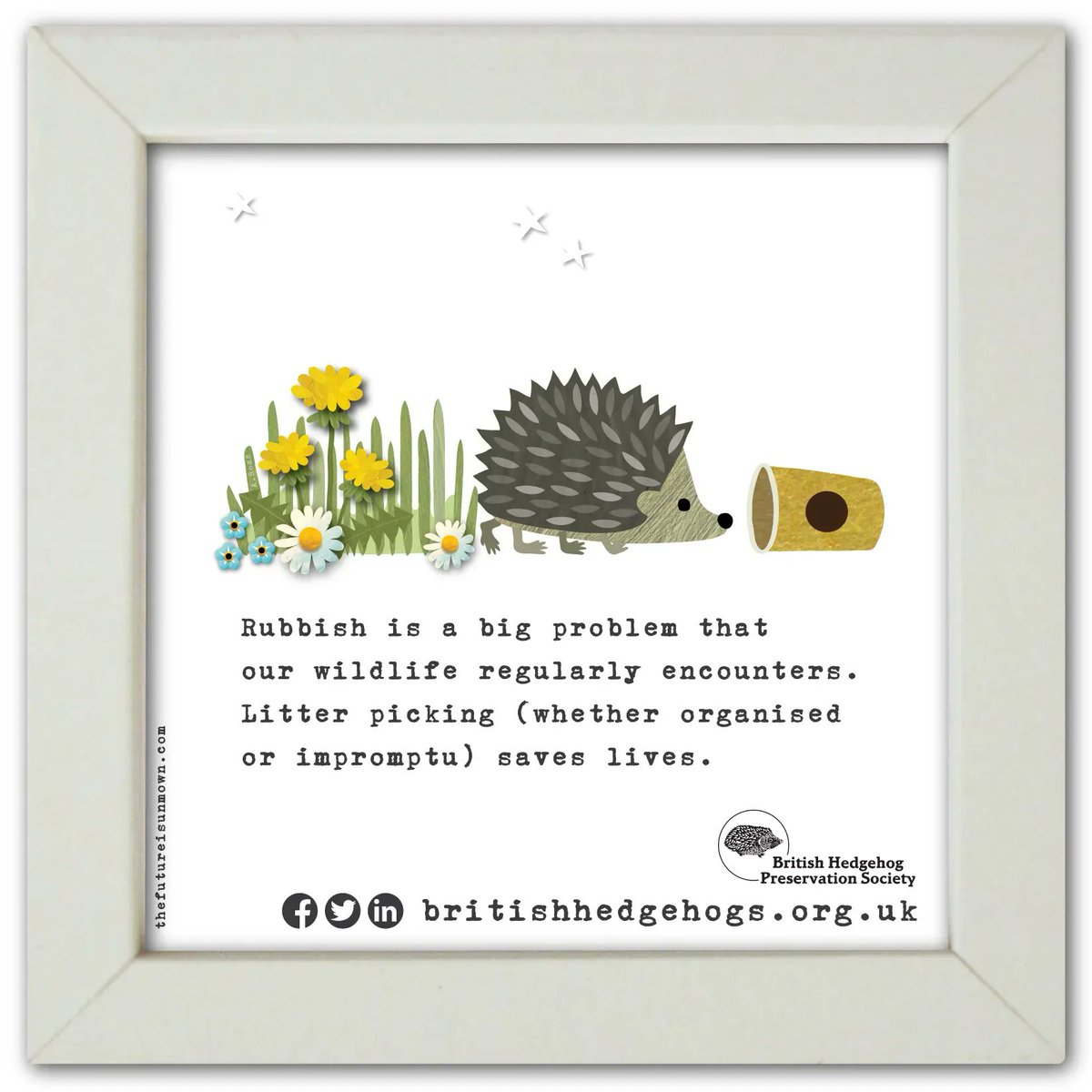 Litter can be a big problem, but we can all do our bit to help fix it. 

This #HedgehogWeek, please share to make aware 👍 
#dontlitter #CleanUp