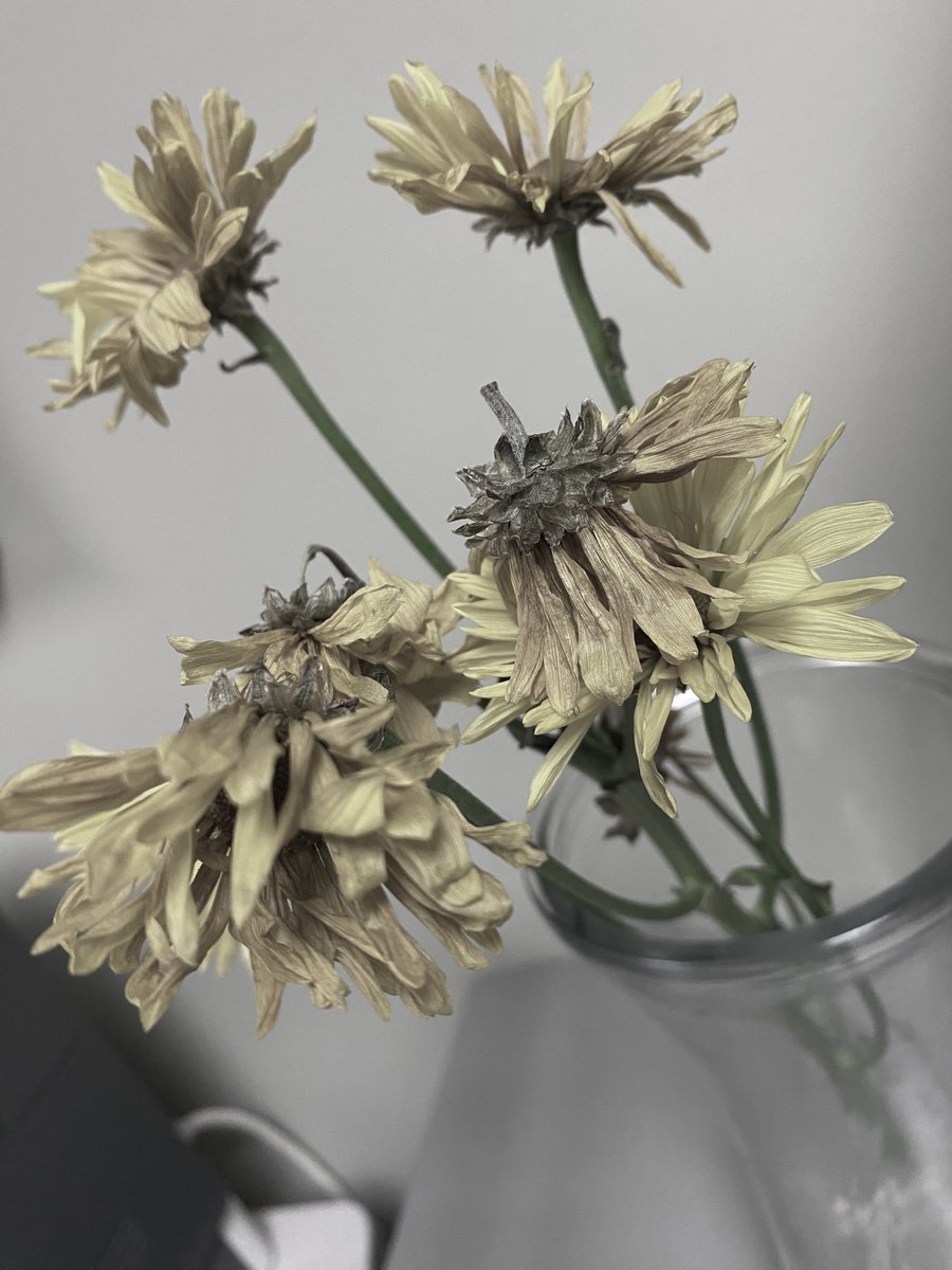 Annie Stoessel tweet media