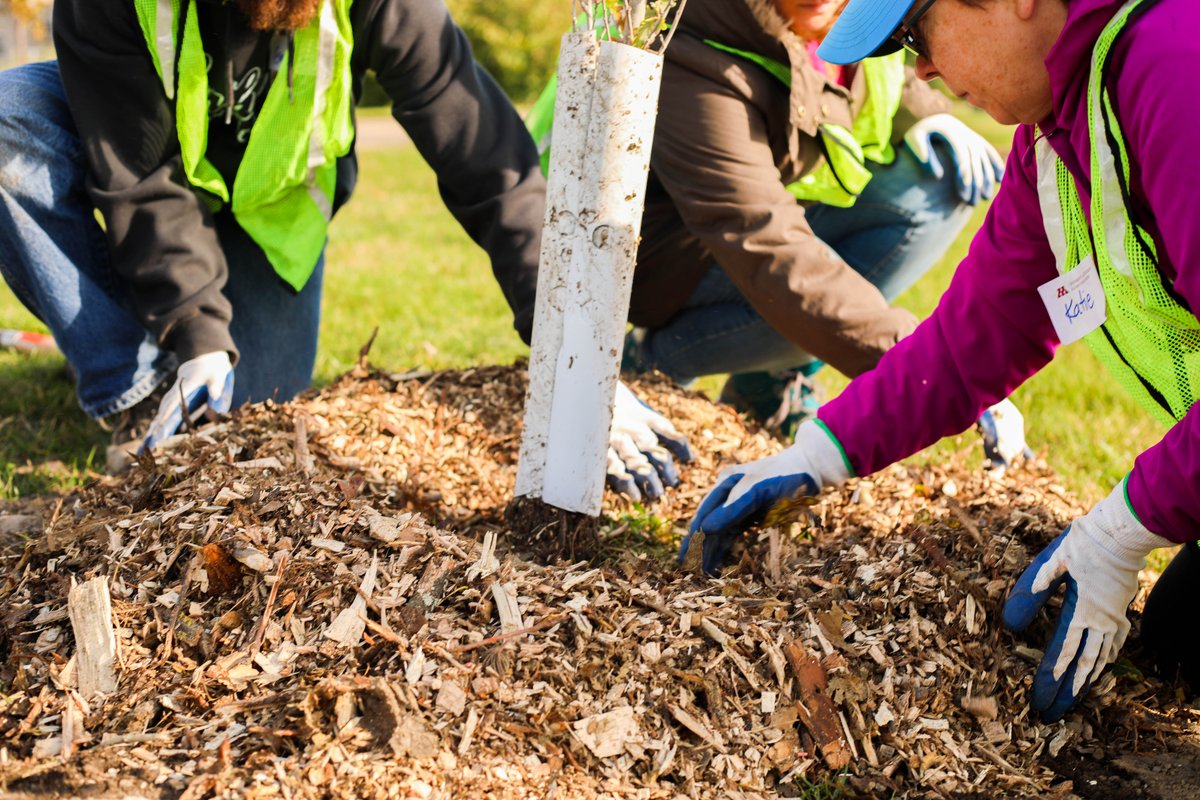 HennepinEnviro's tweet image. Hennepin County has healthy tree canopy grants available for tree plantings, ash tree removals, tree inventories, outreach and more. Learn more: hennepin.us/trees

#Trees #TreeGrants #MNTrees