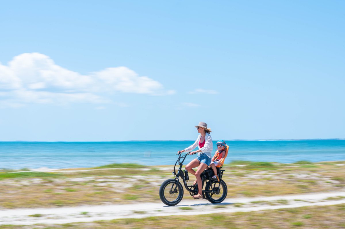 VisitSPC's tweet photo. Ever explore Fort Desoto Park by e-Bike? We discovered itβs a more intimate way to explore its 1,136 acres! @Bay_e_Bikes rentals services downtown St. Pete and most of our gulf beaches. Check 'em out! βοΈπ΄π²π #eBike #BayEBikes #FortDeSotoPark #Florida https://t.co/bdtc38qcjU
