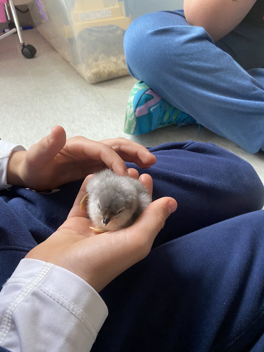 Malorie Engel tweet media