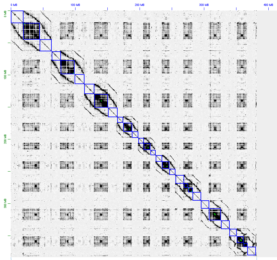 Juicer/3DDNA/Juicebox scaffolding is tremendously easier to use when you include a pseudomolecule reference alongside your fragmented assembly.  Three different SCN assemblies with 2 references of the same line using only the first round of scaffolding. #genomics