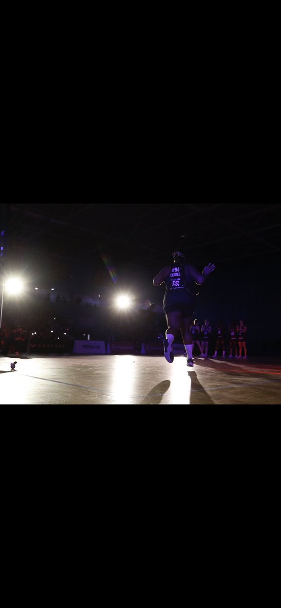 Brit Clarke✈️🔆🐘🦋🐢 tweet media