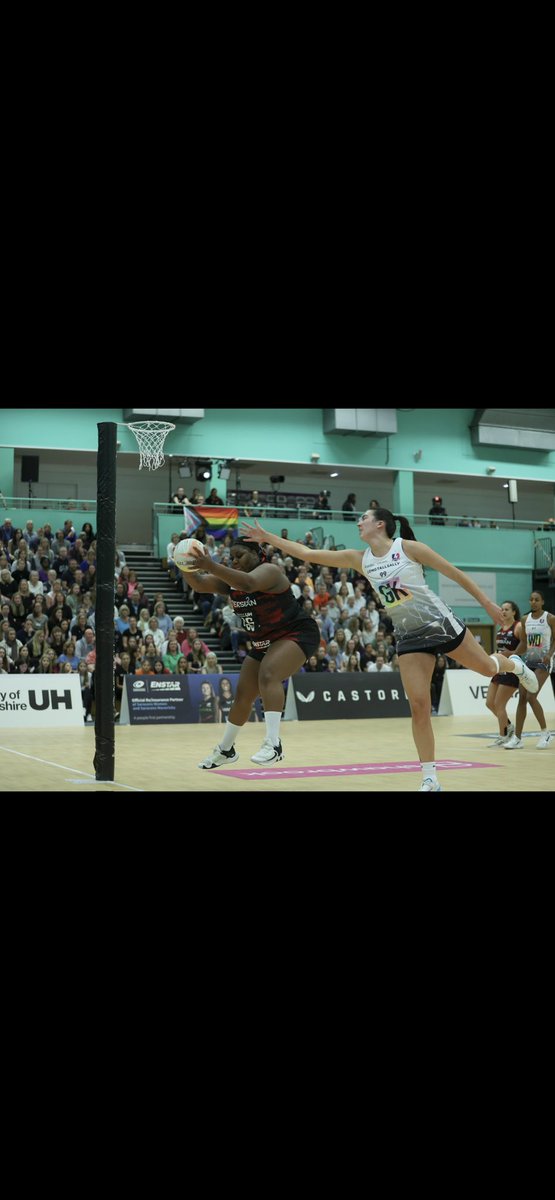 Brit Clarke✈️🔆🐘🦋🐢 tweet media