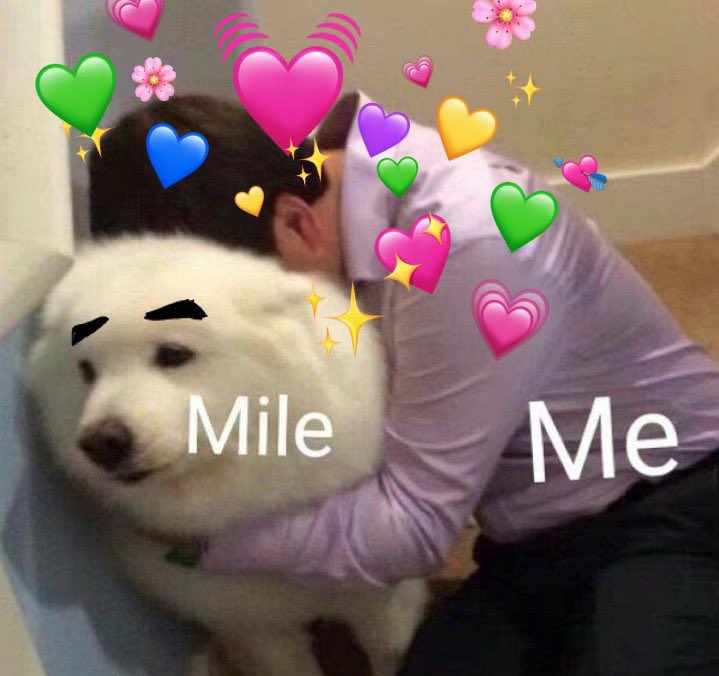 hnapo2's tweet photo. @milephakphum GN😊 https://t.co/IxhzUjXyb0