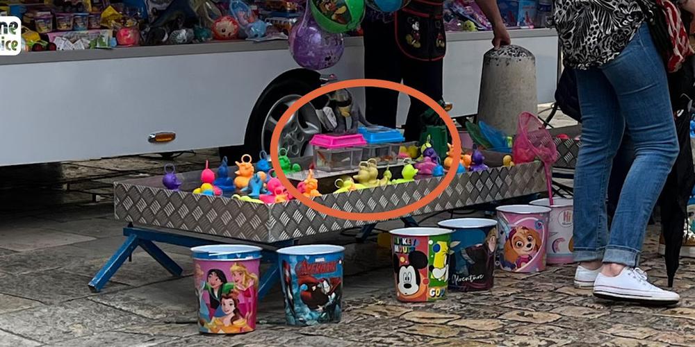 SO_Dordogne's tweet photo. 🐟 Des associations animalistes s’émeuvent de poissons rouges offerts comme lots dans une fête foraine
https://t.co/j437dkSqQb https://t.co/AYcCrqXRdr