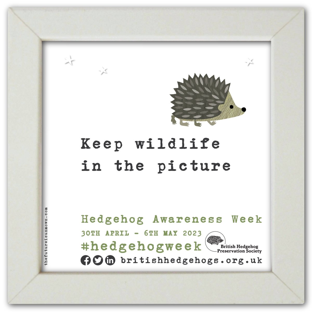 Our friends @hedgehogsociety are celebrating #hedgehogweek. Get involved and help hedgehogs. 🦔