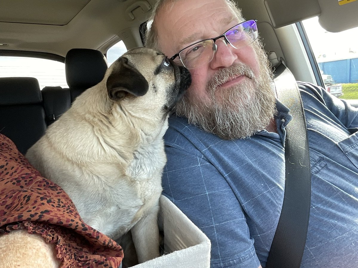 MapleThePug's tweet photo. I love a quiet car ride with Mom &amp; Dad. I love Bacon . . but sometimes it’s nice to have the humans to myself.  #MapleThePug #BaconThePug #Pugsisters #pugsters #pugsoftwitter  #pugsofinstagram #puglove #puglife https://t.co/pOSYLCfMSP