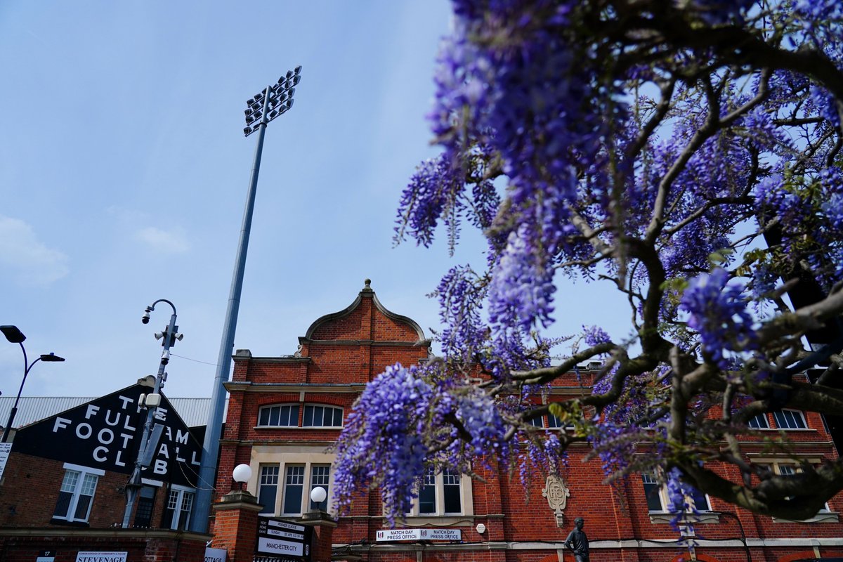 Fulham Football Club tweet media