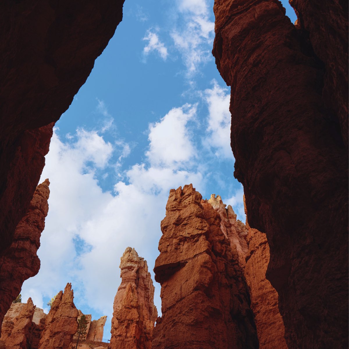 Check out this amazing shot out of Bryce Canyon. We can’t get enough of these views! Vobev is located in the bea-UTAH-ful State of Utah.

#gowithVobev #greatviews #canmanufacturing #Utahviews #brycecanyon #SouthernUtah #bea-UTAH-ful