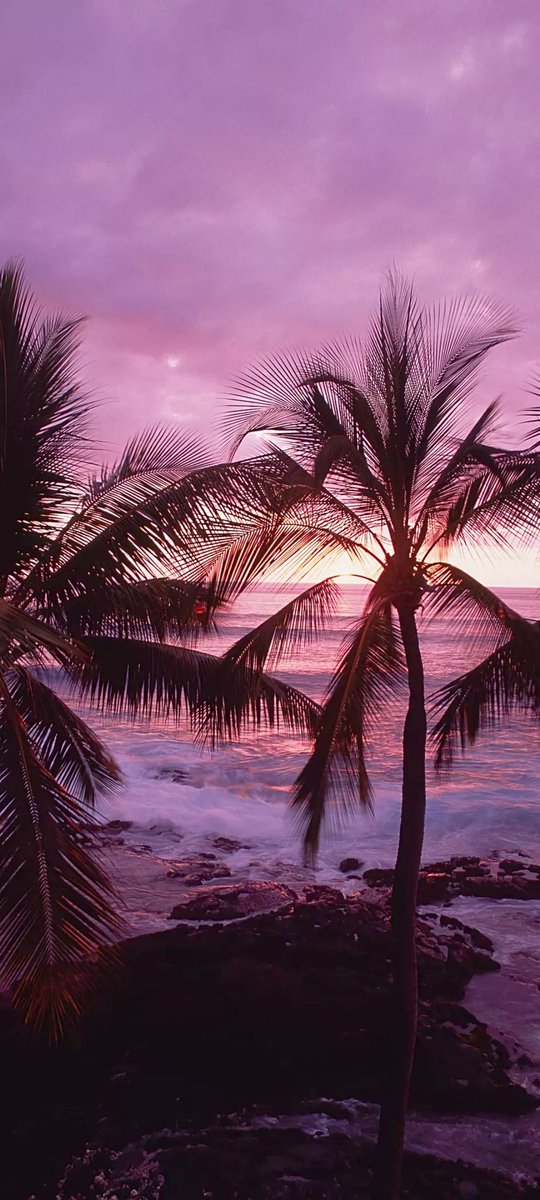 Daisy🌼🌼 tweet media