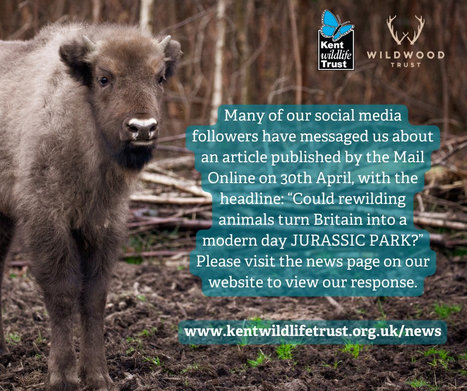 Kent Wildlife Trust tweet media
