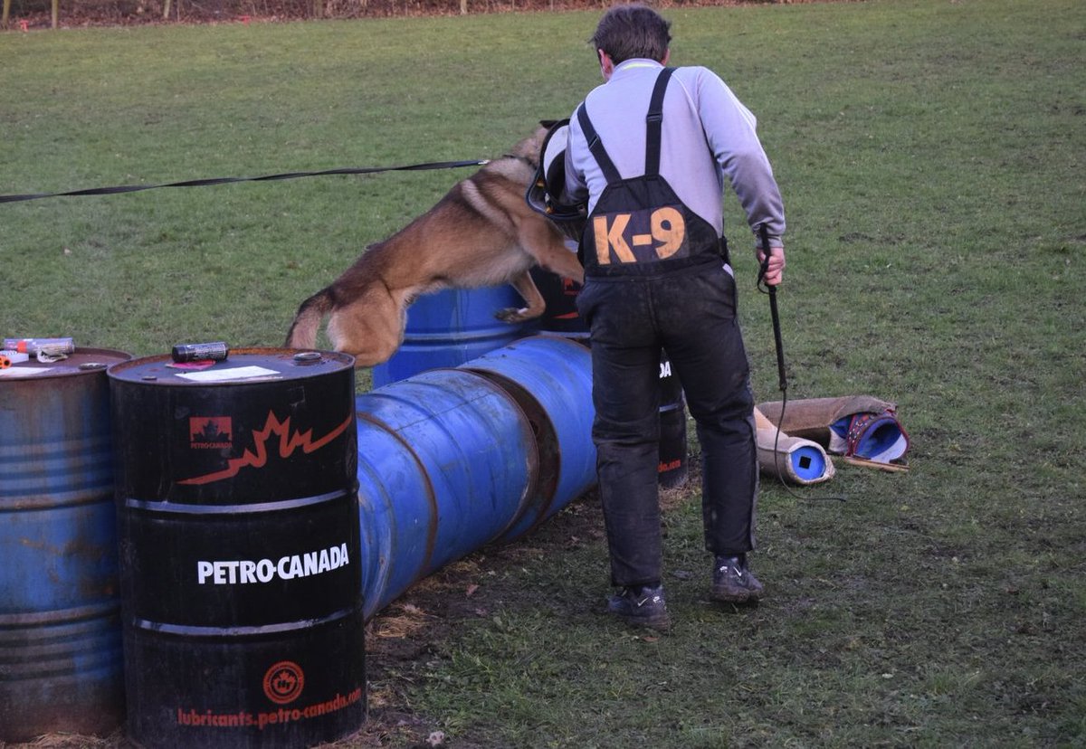 CountySecu's tweet photo. Check out some of our Dog Training pictures! By doing this we are able to keep you and your property safe and secure.

T: 0203 886 1024
E: hub@countyuk.com
W: https://t.co/IVxbXar6Mn

 #training #dogtraining #countysecurity #yourpropertyisourbusiness #ourstaffareourbusiness https://t.co/jaYQ6wfUld