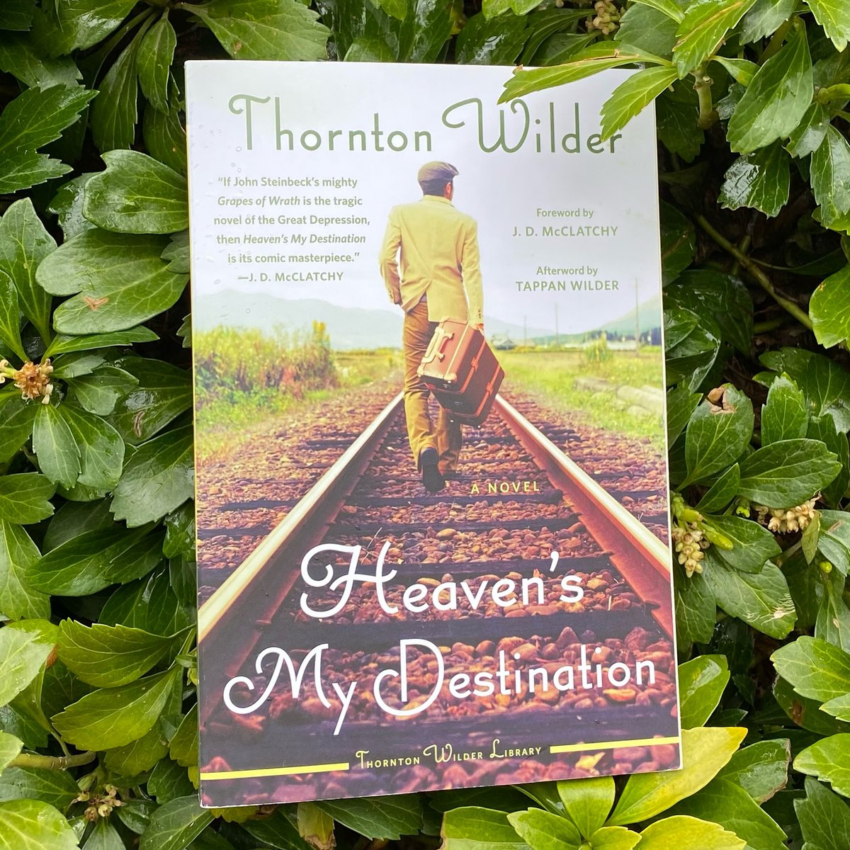 ThorntonNWilder's tweet photo. It's May! Our book of the month is Heaven's My Destination (1934), Wilder's fourth novel (and first to be set in America). @HarperPerennial https://t.co/niezuikErJ