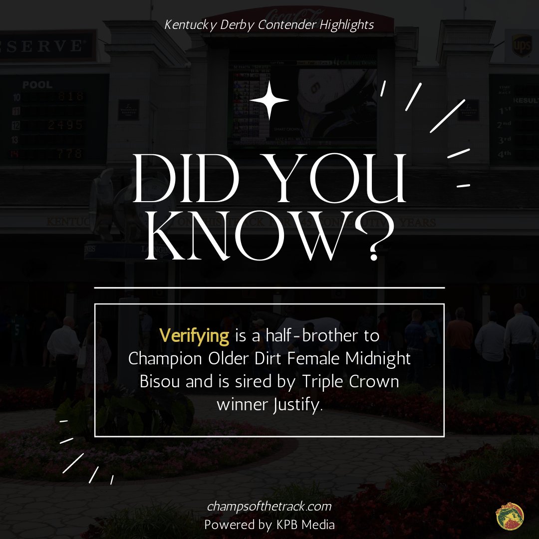 Midnight Bisou fans - Verifying may be the #KyDerby horse that you want to root for! 🌹