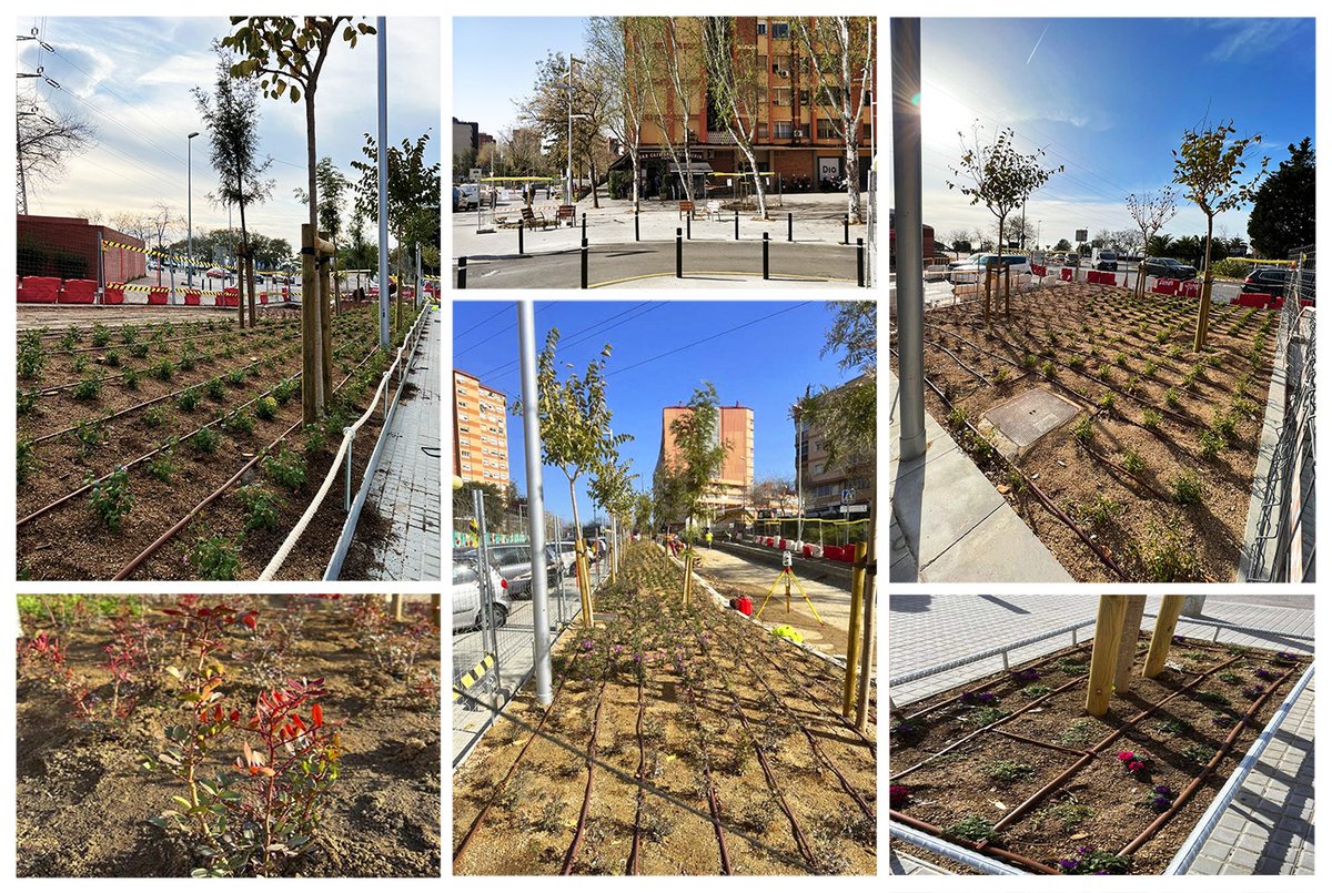 jordifarrando's tweet photo. Finalizadas las obras que han transformado la c Segarra en un paseo arbolado y con profusa vegetación. ¡Deseando verla brotar!

The works that have transformed C Segarra into a tree-lined promenade with profuse vegetation have been completed. Looking forward to seeing it sprout! https://t.co/wAt3dxwbVT