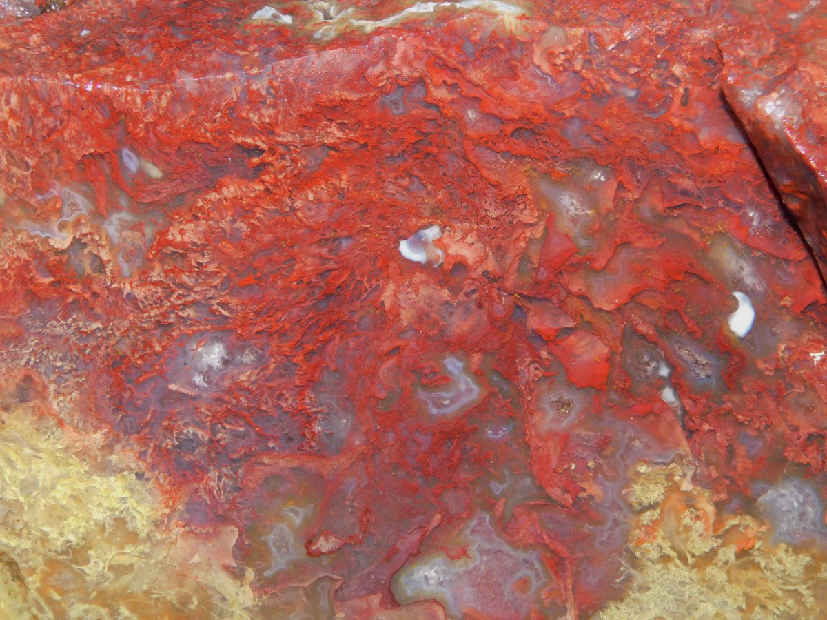 RiverbendLap's tweet image. Auctions Ending Tonight!
ebay.com/str/riverbendl…
#AguaNuevaAgate #GemCoral #GreenTreeAgate #TigerEye #CathedralAgate #JafarJasper #Bloodstone #LajitasAgate #TubeAgate #orbicularAgate #FilamentAgate #PlumeAgate #botryoidalAgate #MossAgate #BandedAgate #LaceAgate #RiverbendLapidary