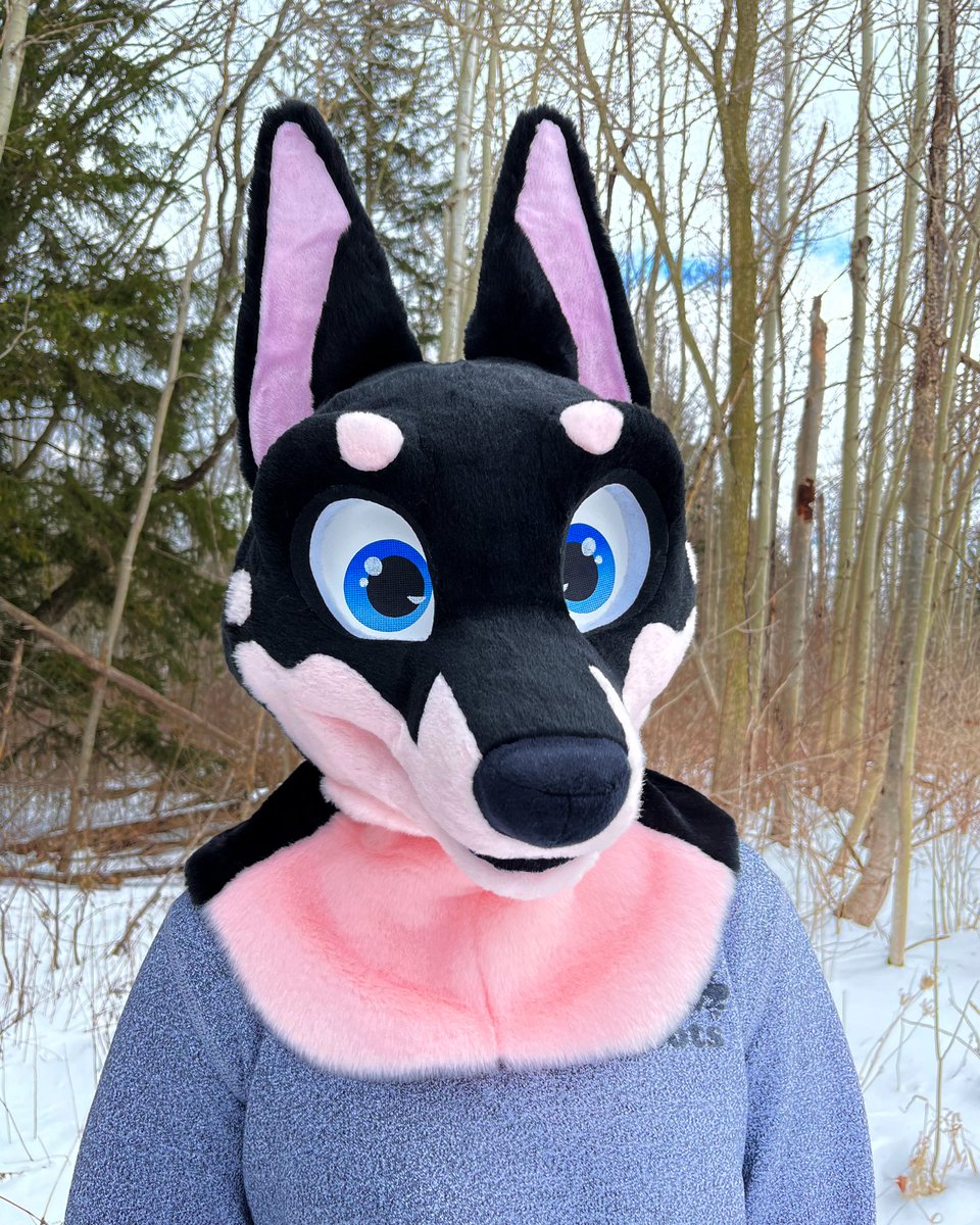 YBLSuits's tweet photo. Both of these suits are looking for homes!🐶🐕🦝

Please check them out !!

🔗 in bio🤙 https://t.co/3siIWjwYrU