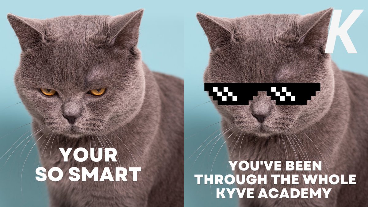 It's never too late to learn, start today kyve.academy