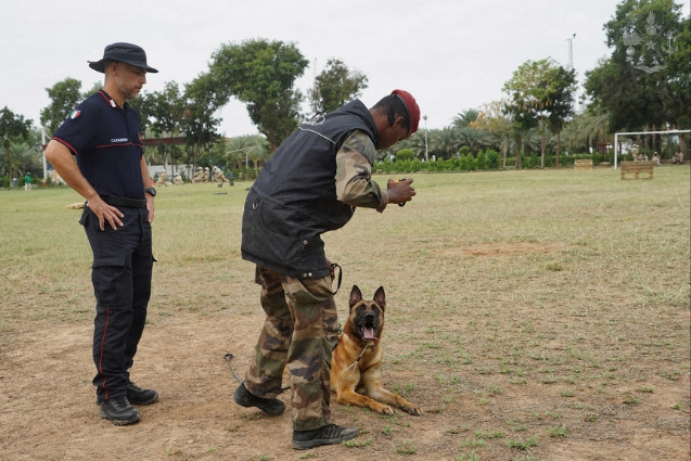 SM_Difesa's tweet photo. #Miadit 18
I #Carabinieri del centro Cinofili concludono l’addestramento agli agenti del Reparto Speciale di #Gibuti

➡️https://t.co/DpbQLH0eDw

#ForzeArmate🇮🇹
#UnaForzaperilPaese

@_Carabinieri_ https://t.co/Bo9Uon1MpH