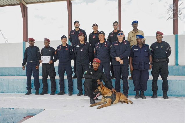 SM_Difesa's tweet photo. #Miadit 18
I #Carabinieri del centro Cinofili concludono l’addestramento agli agenti del Reparto Speciale di #Gibuti

➡️https://t.co/DpbQLH0eDw

#ForzeArmate🇮🇹
#UnaForzaperilPaese

@_Carabinieri_ https://t.co/Bo9Uon1MpH
