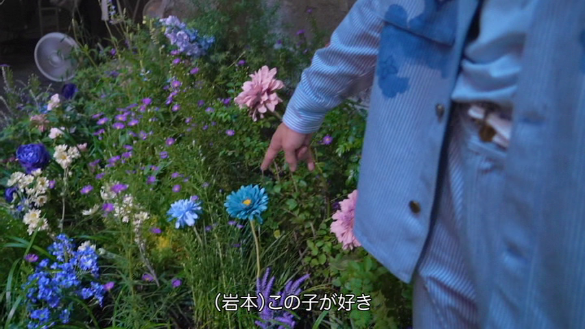 iwamoren's tweet photo. お花を見て「可愛い」「この子が好き」
ひーくんよ 🥺🫶🫶🫶 https://t.co/SzKKVYxZBR