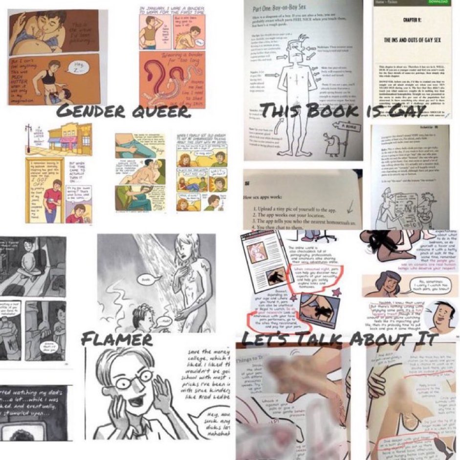 We’re really sick of people saying these books are “LGBTQ,” and for that reason mustn’t be banned in schools. 

This is not the way to represent our community. In fact it is highly degrading and insulting.

We will not tolerate these people using us as a shield to push