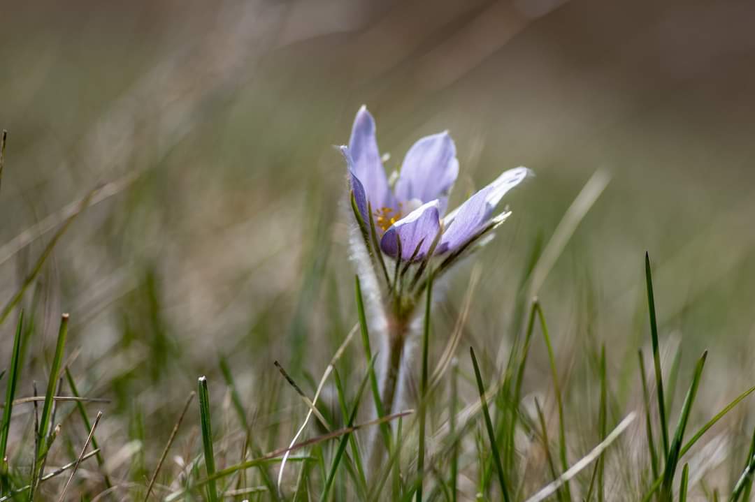 Our office is thrilled by this sign of spring ❤️  What is your favourite sign of spring?