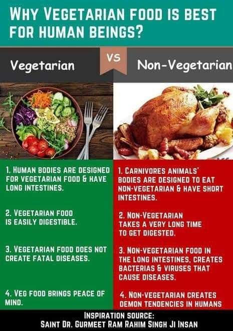 Adopt vegetarian diet
And have a healthy life 
#ChooseToBeHealthy
#BeWiseChooseRight
#GoVegetarian
#VegIsPowerful
#VegIsHealthy
#LiveHealthyLife 
#QuitNonVeg
#DeraSachaSauda
Saint Dr. Gurmeet Ram Rahim Singh Ji Insan