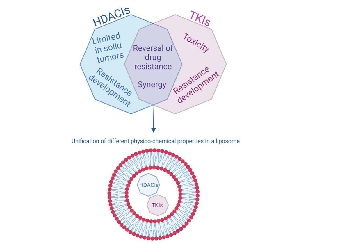 JCRnEDITORS's tweet photo. HDACIs and TKIs combinations and their liposomal delivery for cancer treatment.
| Gerrit Borchard @unige_en |
[50 days' free access]
#liposome #drugcombination 
https://t.co/3Oycbvt5mZ https://t.co/vxgoW0Il9I