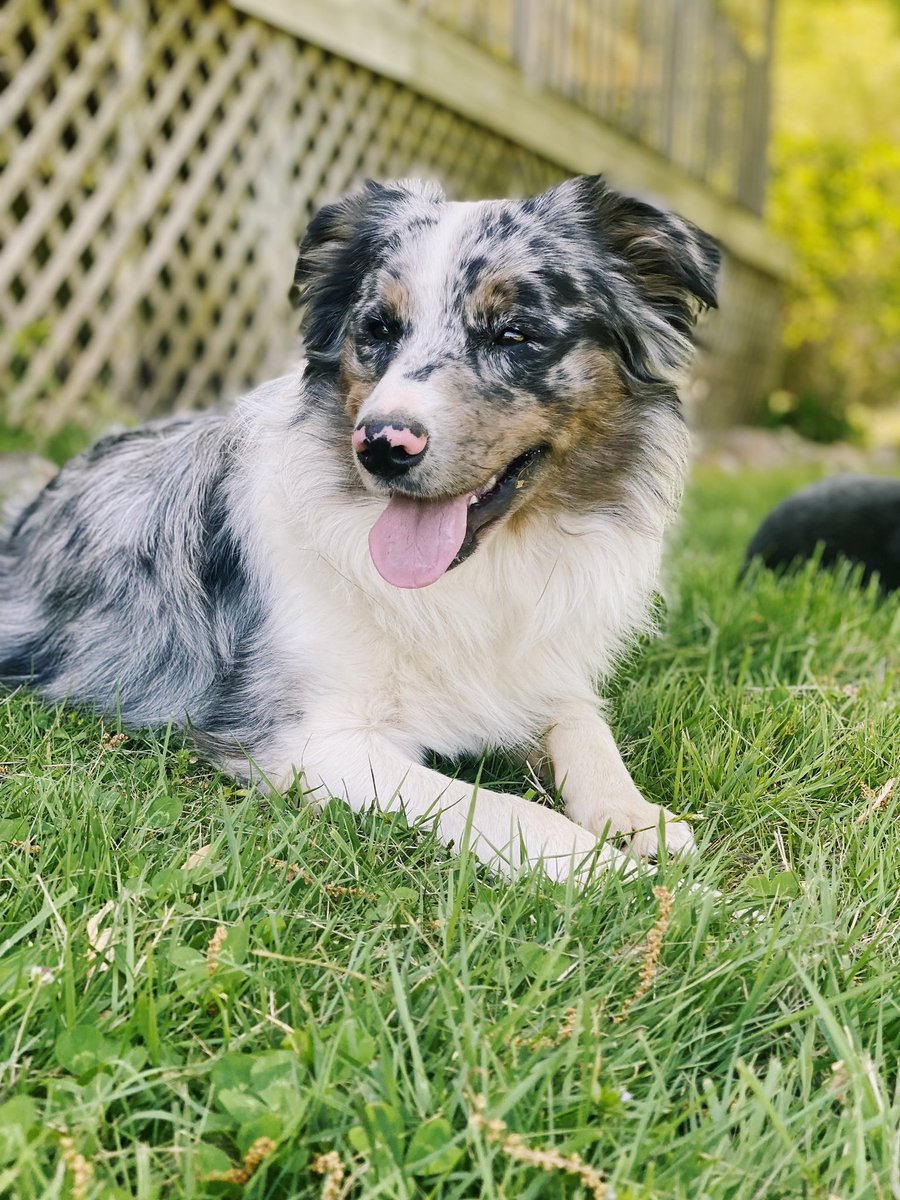 im not crying u r, moms handsome wandsome boy. i loveeeeeee him so much i could explode