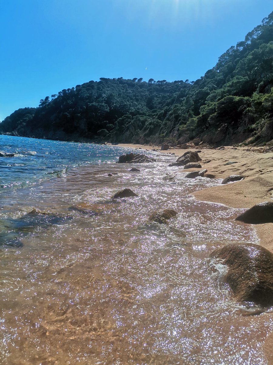 Nudecostabrava's tweet photo. Primer dia de platja... https://t.co/ISxZsvo7C3