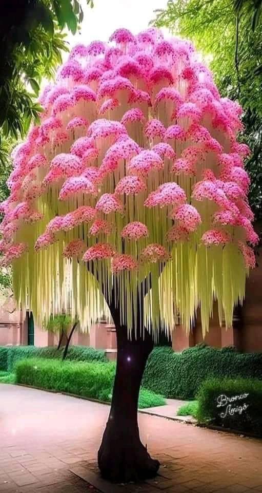 Hermoso