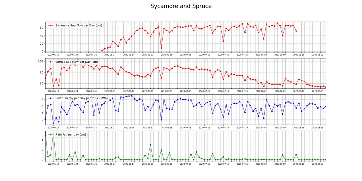 Solar radiation and precipitation are key drivers of sap flow in trees. In this composite graph you can see the Spruce and Sycamore trees reacting to changes in solar radiation and precipitation during the 2020 growing season☀️☔️  #DataAnalytics #DataScience #nature