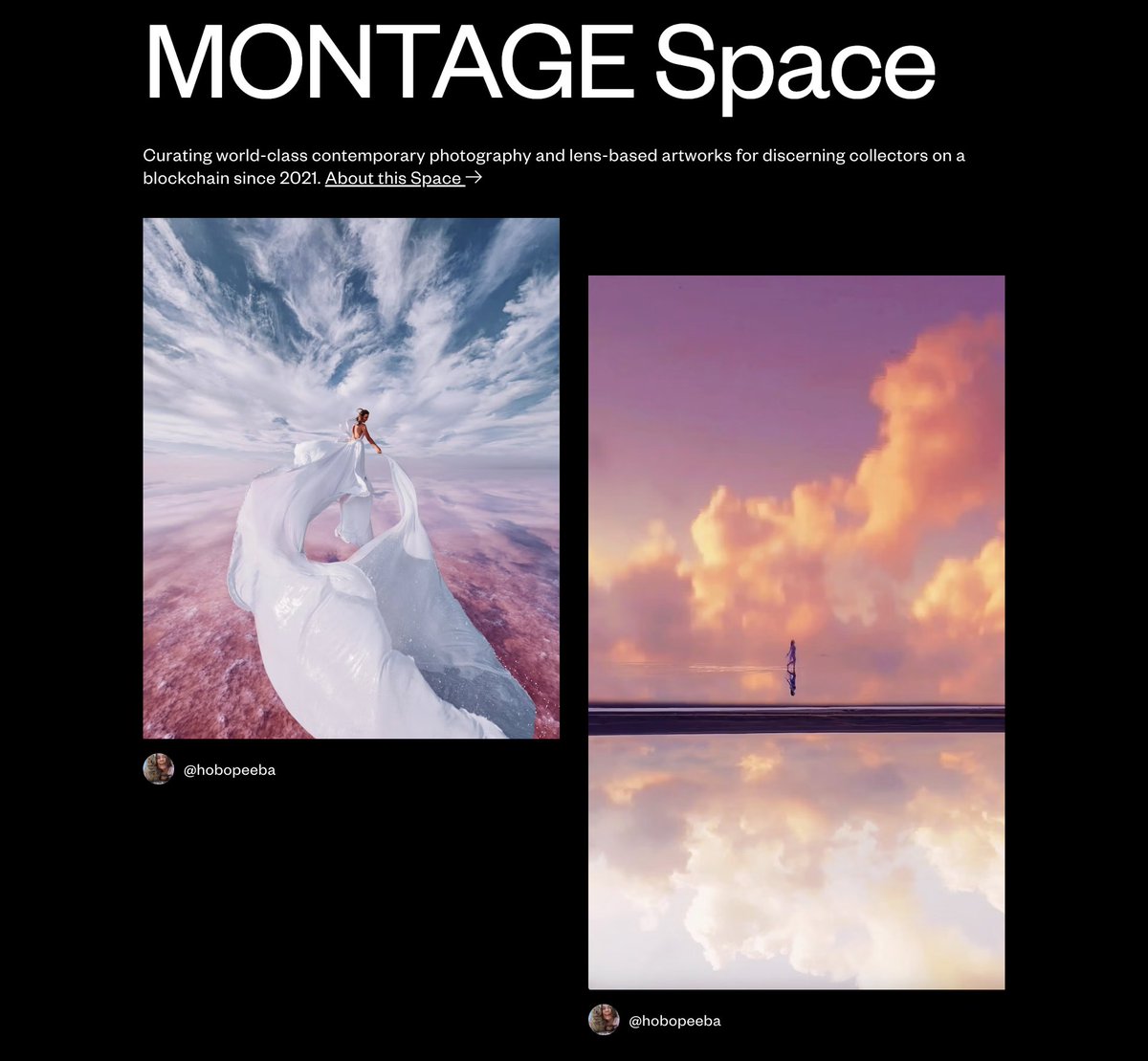 Sloika.xyz tweet media