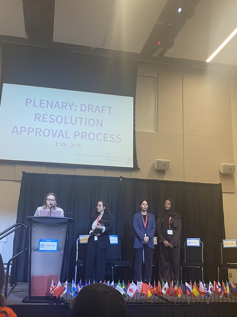 GHWHASIM's tweet photo. Committee C presenting motions for the plenary draft resolution for approval! #GHWHASIM @Ahmadfiraskhali @YUGlobalHealth https://t.co/0YMEfLuInu