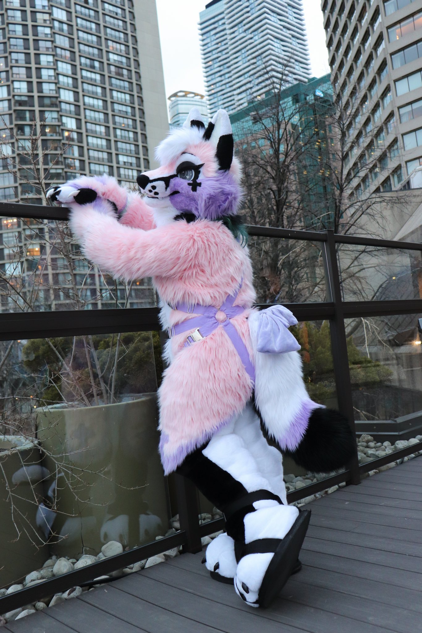 𝖘𝖔𝖗𝖊𝖓🫀ᑕᓕᕈᖅ on Twitter "first fursuit (made in 2007) latest fursuit (made in 2023) https//t