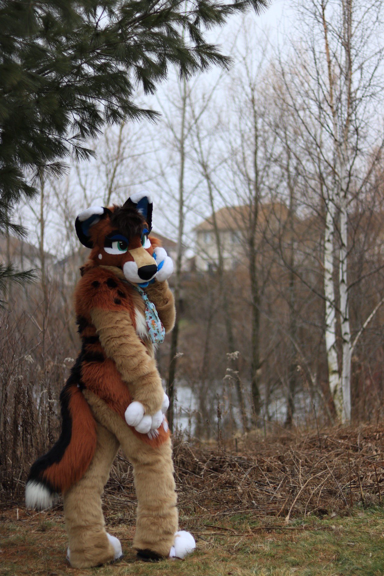 𝖘𝖔𝖗𝖊𝖓🫀ᑕᓕᕈᖅ on Twitter "first fursuit (made in 2007) latest fursuit (made in 2023) https//t