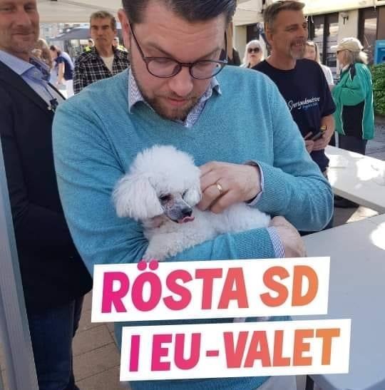 Henrik Brors @henrikbrors.bsky.social tweet media