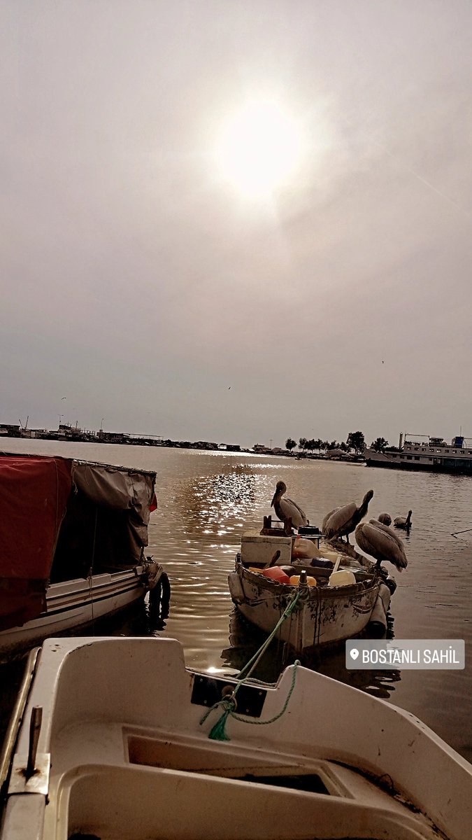 Evime giden yolun güzelliği 🍀