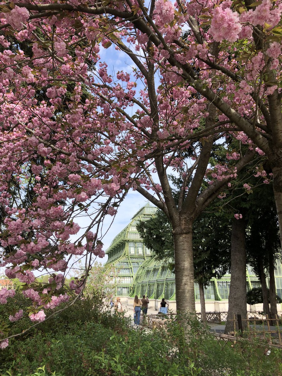 Philippa Slay tweet media