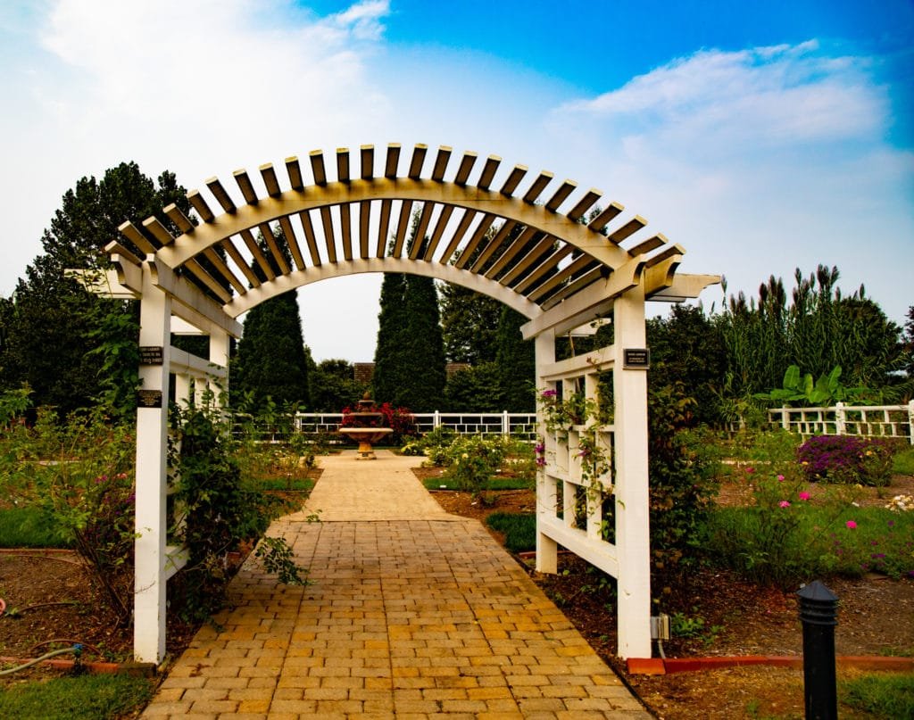 dcplibrary's tweet photo. First Saturday at the Botanical Garden is back! The time? First Saturday of the month. The place? the Botanical Garden. Info/RSVP: https://t.co/84abavaP3S https://t.co/v0Q1XR9lZg