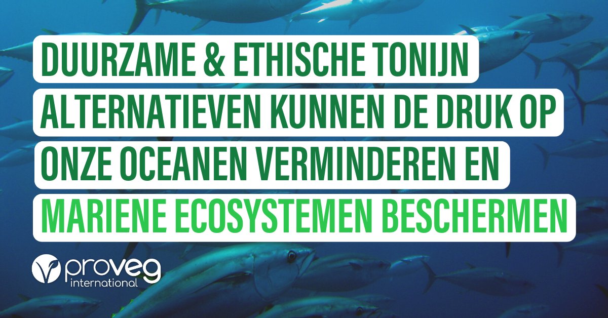 ProVeg Nederland tweet media