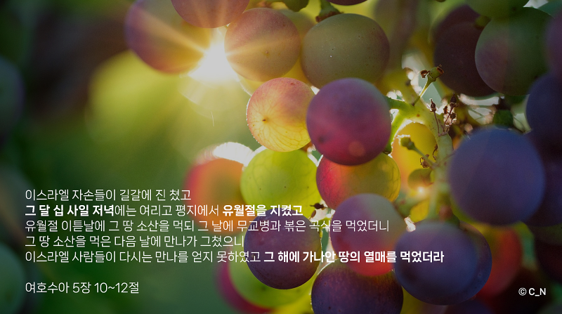 somfur0505's tweet photo. 정월, 즉 1월 14일 저녁은 #유월절로 지정해주신
하나님의 규례입니다

예언: 가나안 들어가기 직전 유월절 지키고 
         그해에 가나안에 들어간다는 것은

성취 : 천국 들어가기 직전 유월절을 지키고 
        천국에 간다는 것입니다.   

  그리운 하는나라에 꼭 함께 가요

#하나님의교회 https://t.co/Dq2bYCsSkX