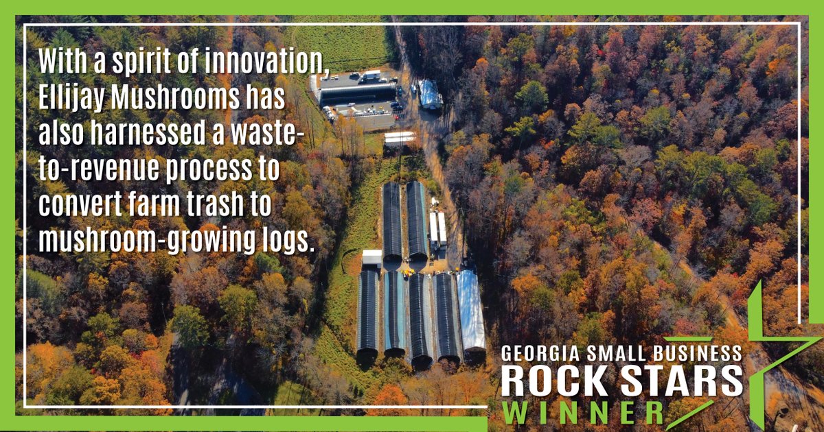 GA Small Business tweet media