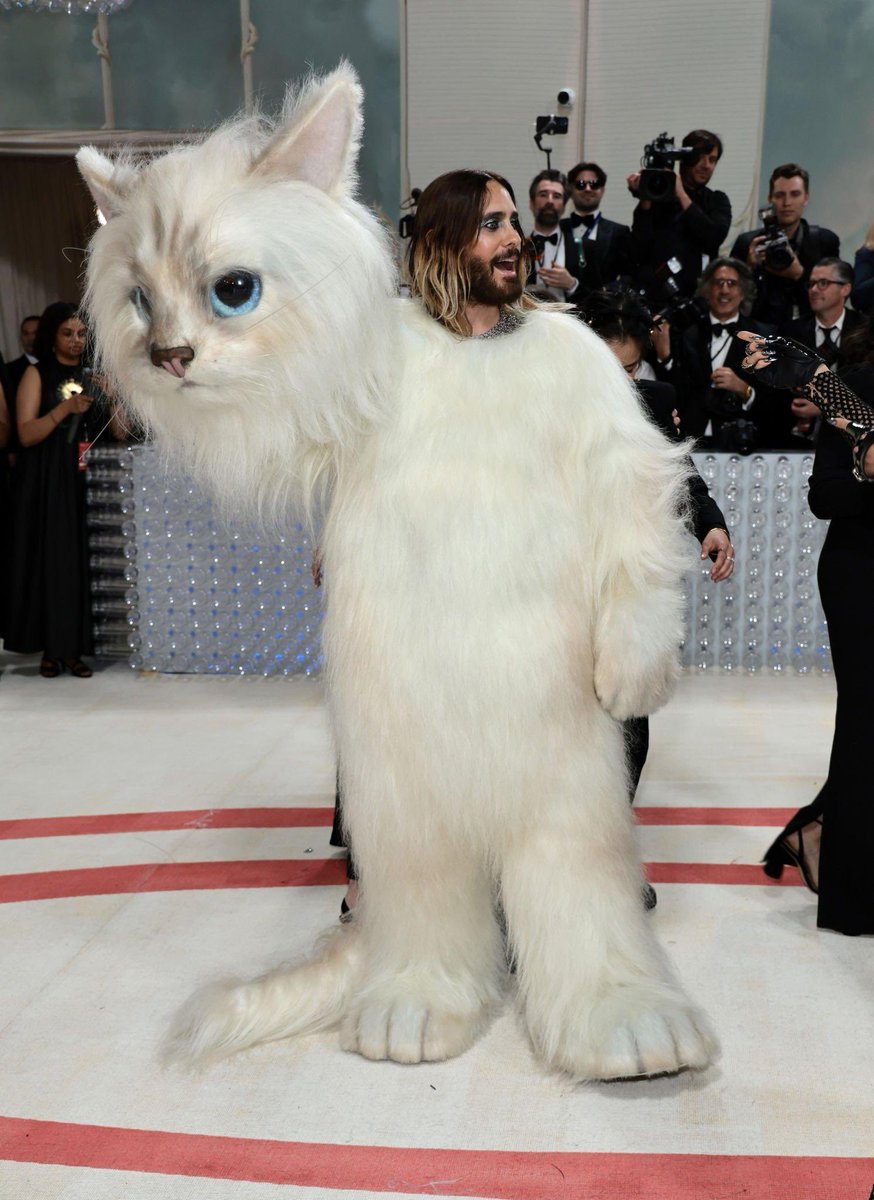 Brands killing it on social:         The agency behind it: