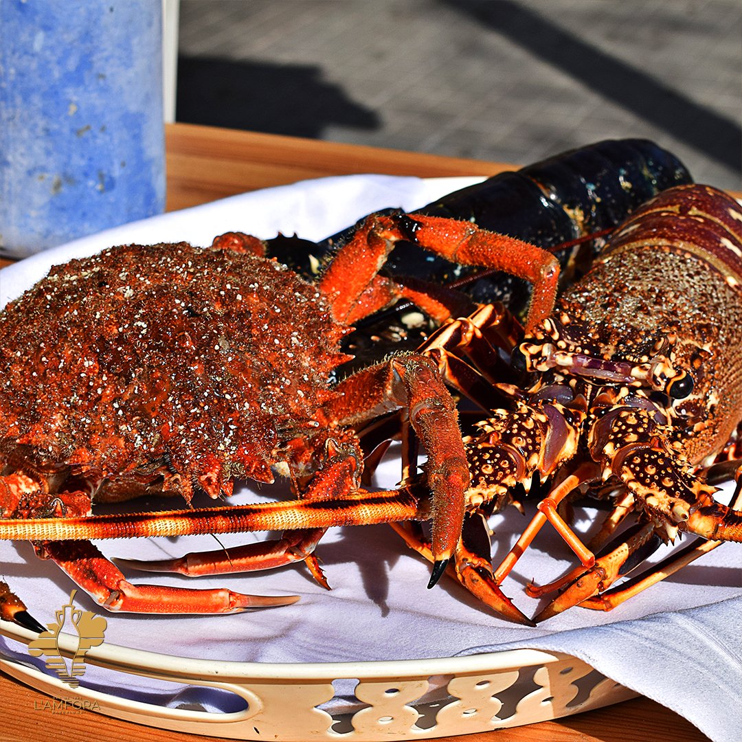 lamforabcn's tweet photo. 🦐 ¿Te imaginas poder disfrutar del sabor 🦞 del mar más fresco y auténtico? 🦀

En L'Amfora estamos orgullosos de ofrecer una selección de mariscos y pescados de la mejor calidad, que podrás disfrutar en nuestros deliciosos platos.

¡Ven y comprueba cómo el sabor de la costa! 😋 https://t.co/6ygHrgqZ5z