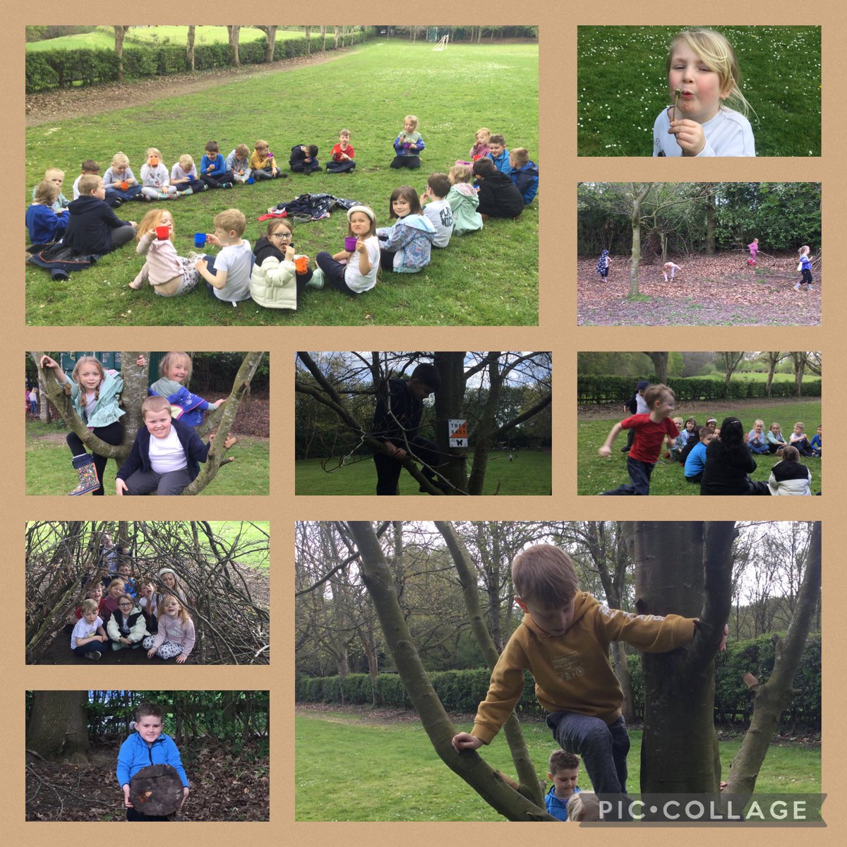 @WhitegateMaple tweet media