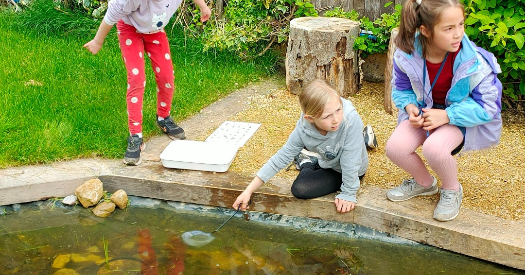 Sherborneprep's tweet photo. Our wonderful new pond has created a thriving Saturday morning activity club... and lots of very keen 'wildlife warriors'!
#pondlife #sherborneprepexplore #countryprep #friendsofsherborneprep https://t.co/afBYVTY1LB