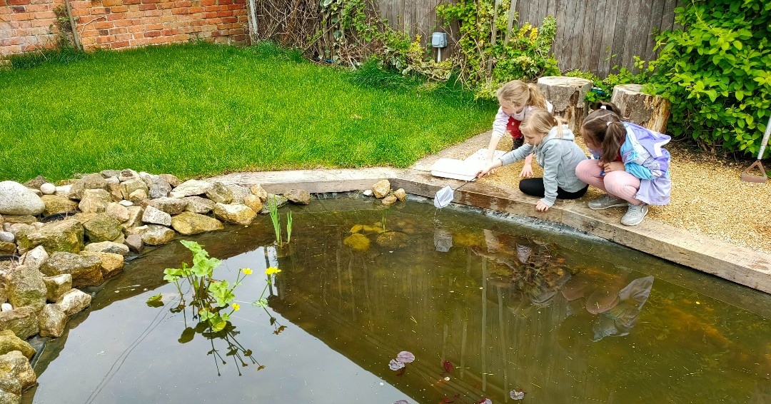 Sherborneprep's tweet photo. Our wonderful new pond has created a thriving Saturday morning activity club... and lots of very keen 'wildlife warriors'!
#pondlife #sherborneprepexplore #countryprep #friendsofsherborneprep https://t.co/afBYVTY1LB
